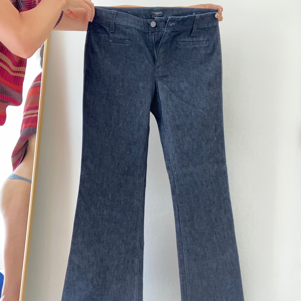 Ann Taylor Jeans Brand New